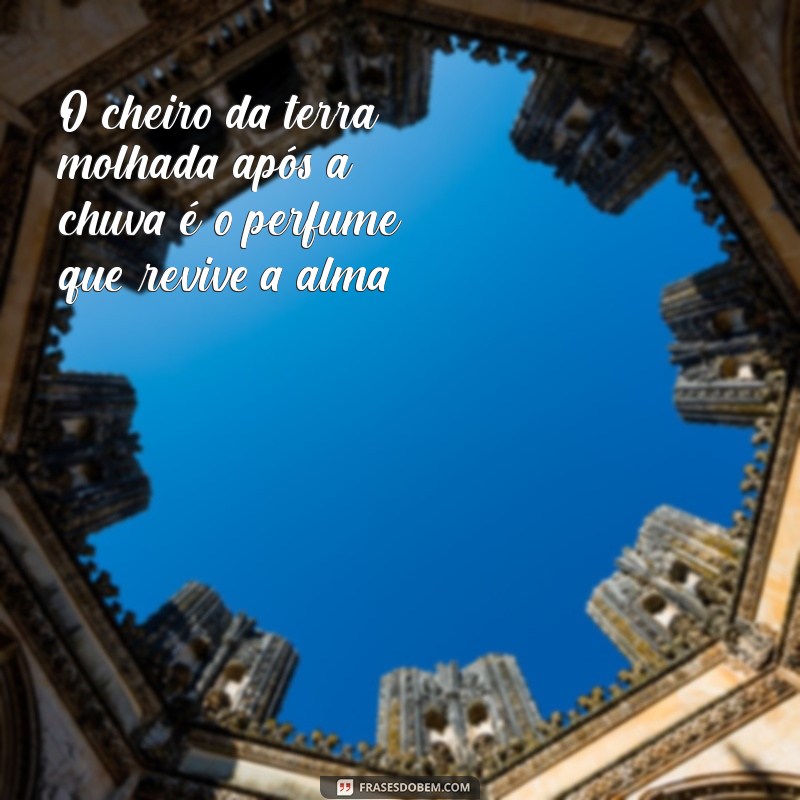 Frases Inspiradoras sobre a Natureza: Conecte-se com o Mundo Natural 