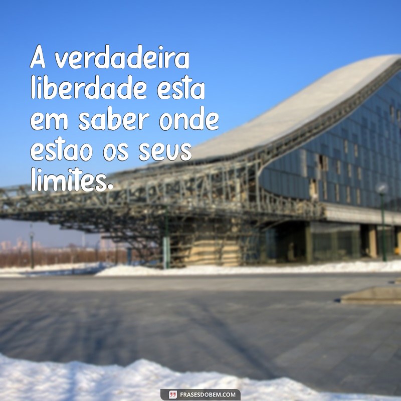 Frases Inspiradoras sobre Limites da Vida: Reflexões para Superar Desafios 