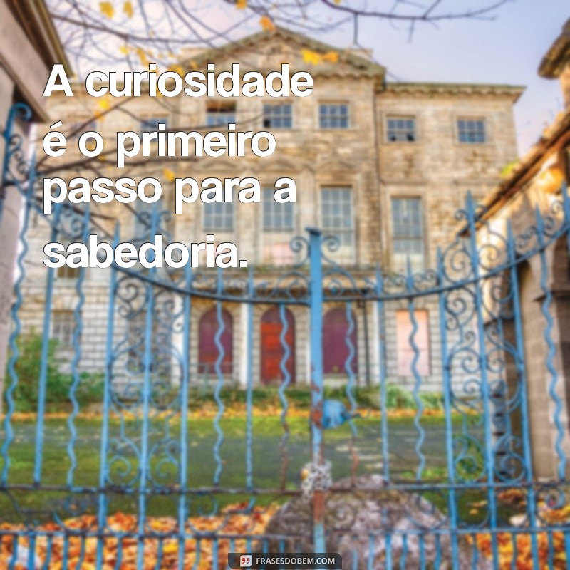 Frases Inspiradoras da Escola que Transformam sua Vida 