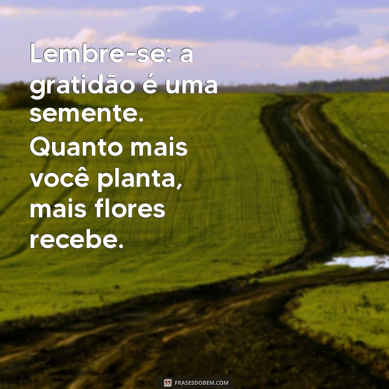 Como Lidar com Pessoas Mal Agradecidas: Mensagens que Fazem a Diferença 