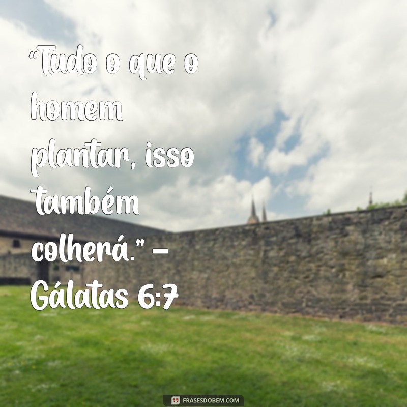 a lei do retorno na bíblia “Tudo o que o homem plantar, isso também colherá.” - Gálatas 6:7