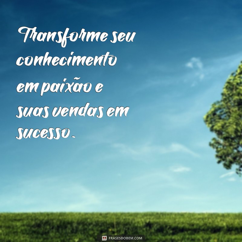 Frases Inspiradoras para Vendedoras: Dicas para Motivar e Vender Mais 