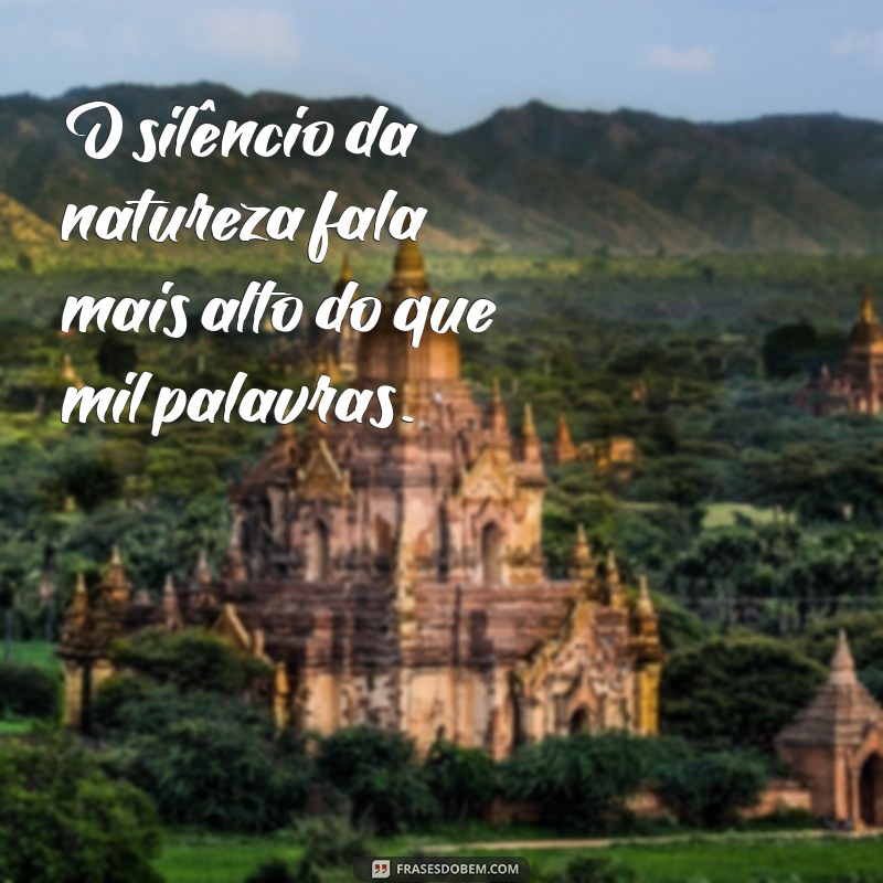 Frases Inspiradoras que Tocam a Alma: Reflexões para o Coração 