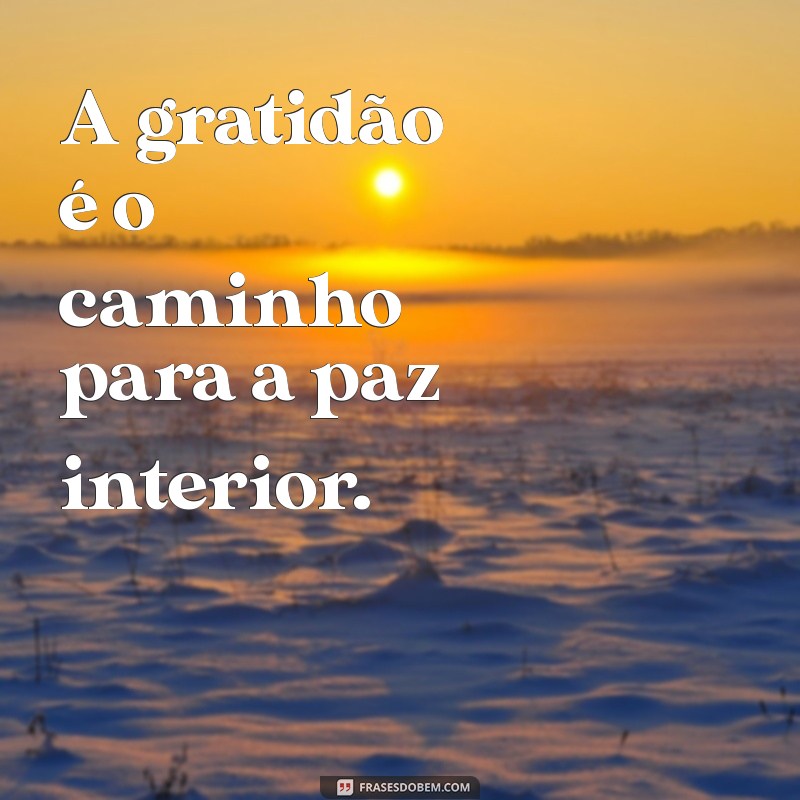 Frases Curtas de Gratidão para Inspirar o Seu Dia 