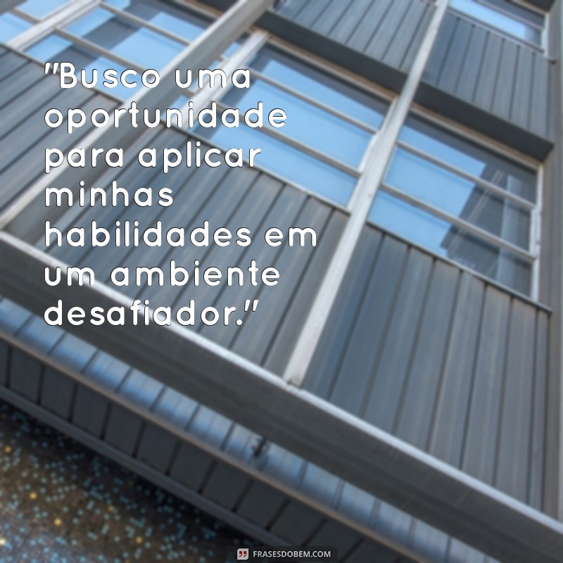 frases para por no objetivo do curriculo 