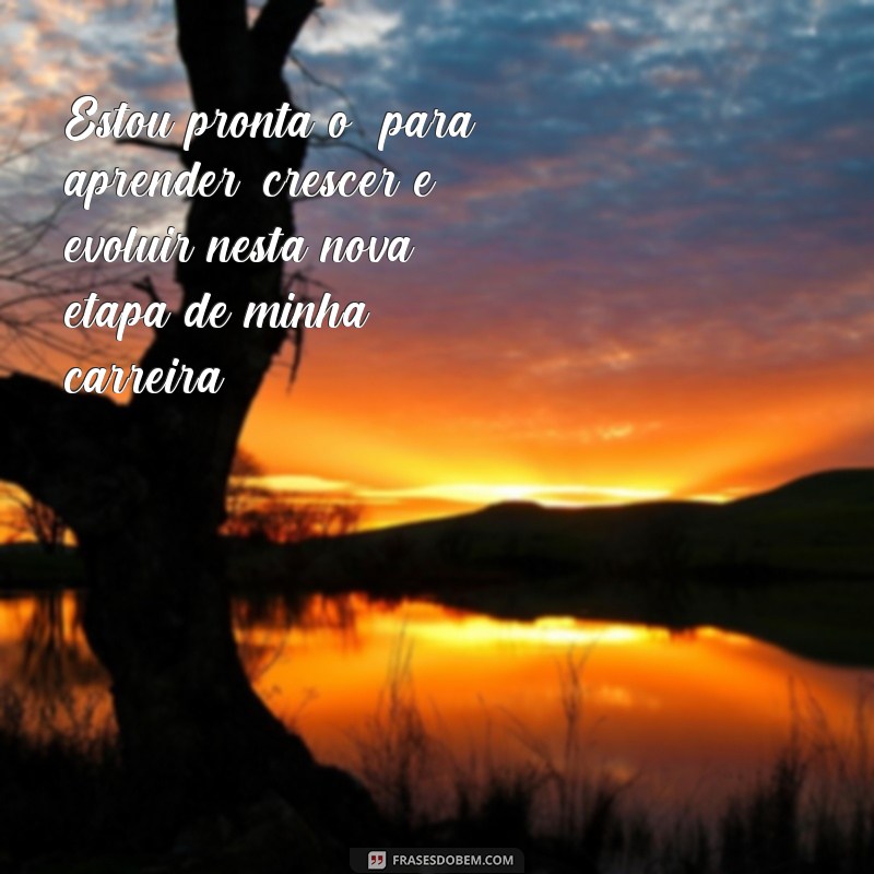 Descubra as melhores frases inspiradoras para iniciar um novo ciclo profissional 