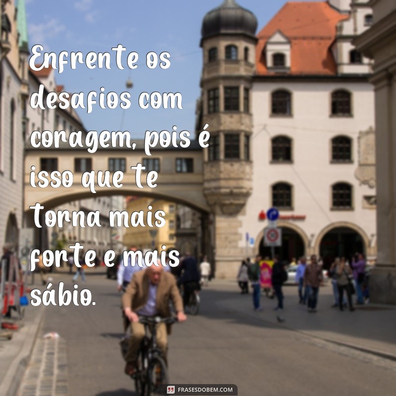 220 frases de inspiração para motivar sua produtividade no trabalho 