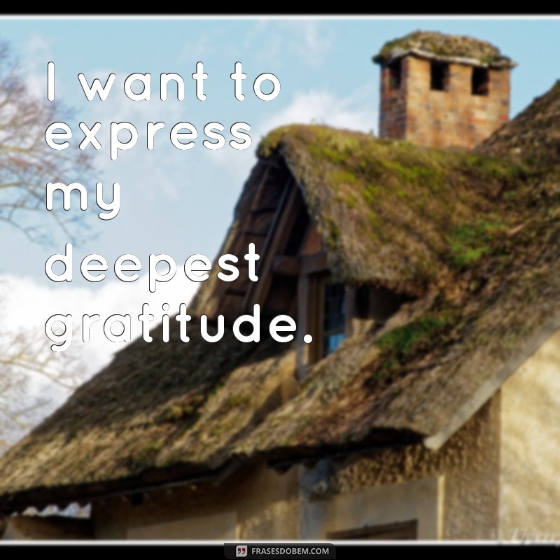 Expressões de gratidão em inglês: aprenda frases para demonstrar sua apreciação 