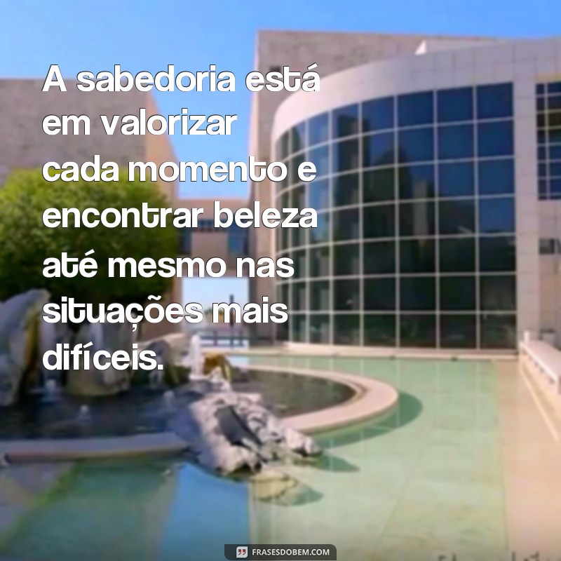 Descubra as melhores frases de sabedoria e esperança para inspirar sua jornada 