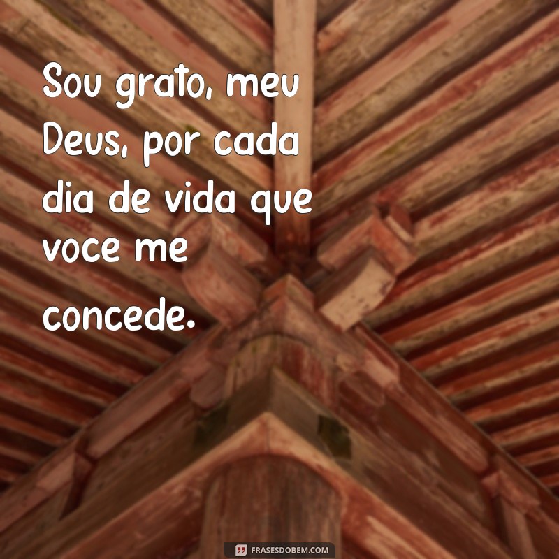 Expressando gratidão: Confira as melhores frases de obrigado Senhor 