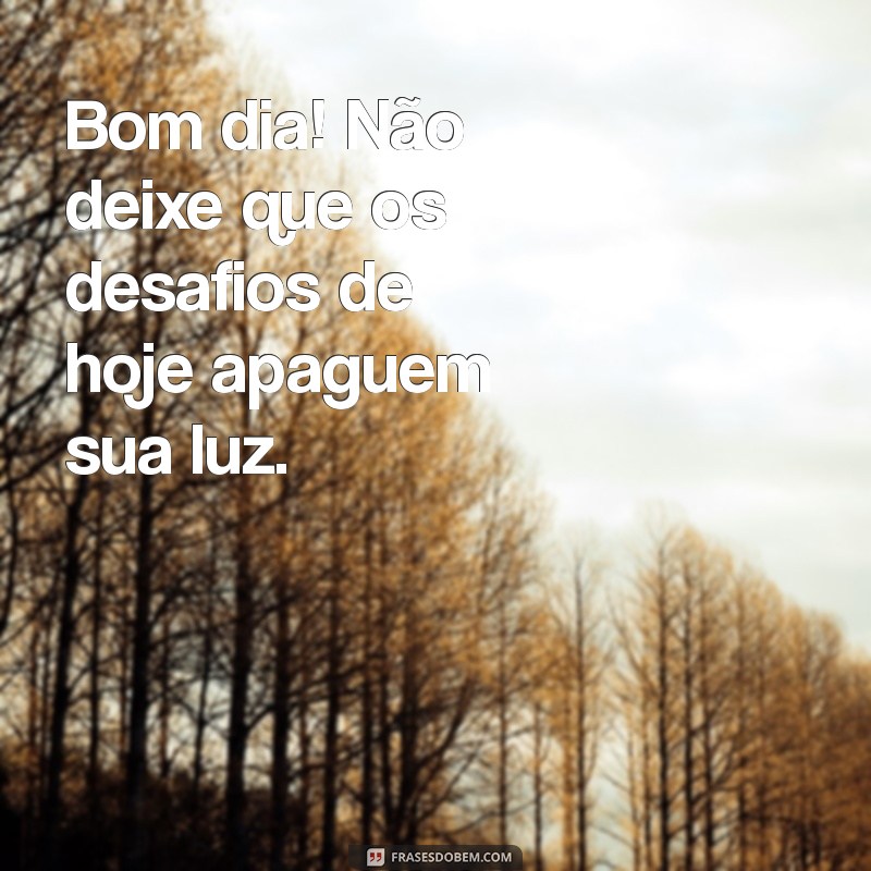 As Melhores Frases de Bom Dia para Inspirar Seu Dia 