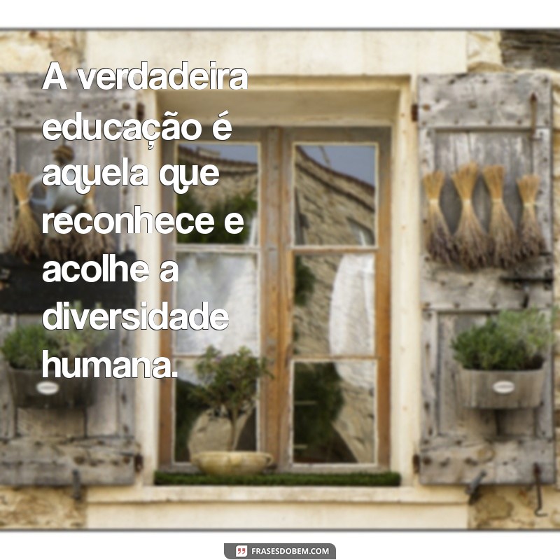 Frases Inspiradoras de Inclusão de Paulo Freire para Transformar a Educação 