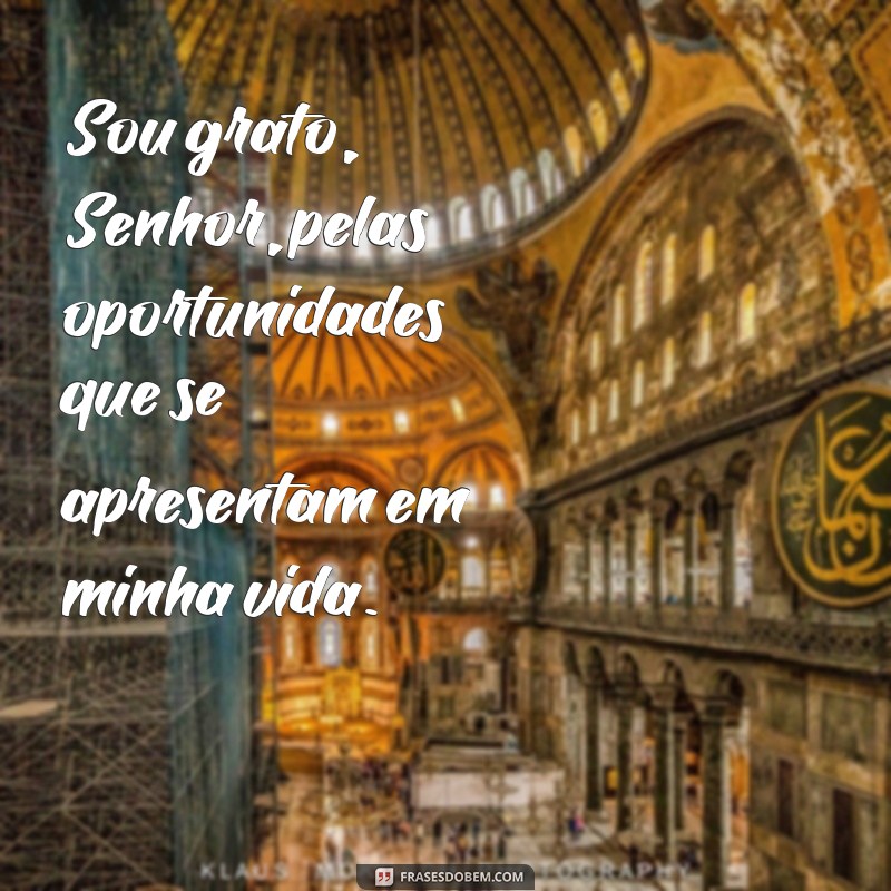 30 Frases de Agradecimento a Deus para Inspirar Sua Gratidão 