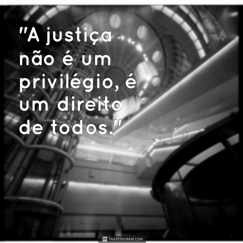 frases de direito advogado 