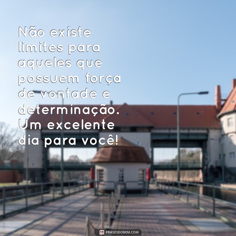 Encante seu dia com essas frases maravilhosas de bom dia 