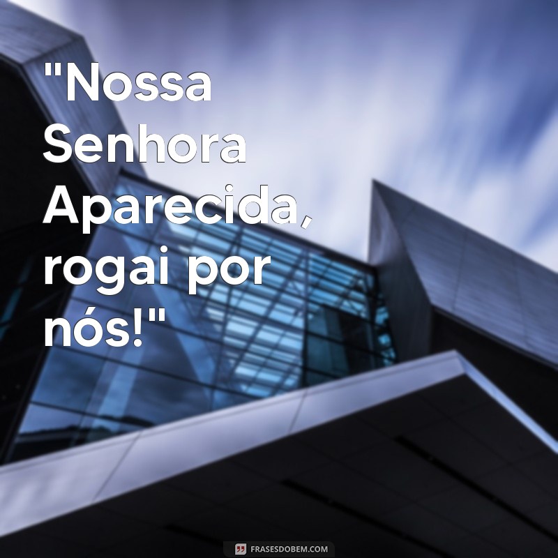 frases nossa senhora aparecida com frases 