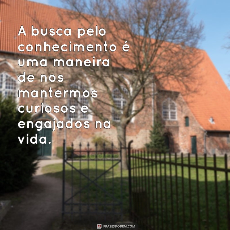 Descubra as melhores frases de conhecimento e estudo para inspirar sua jornada acadêmica 