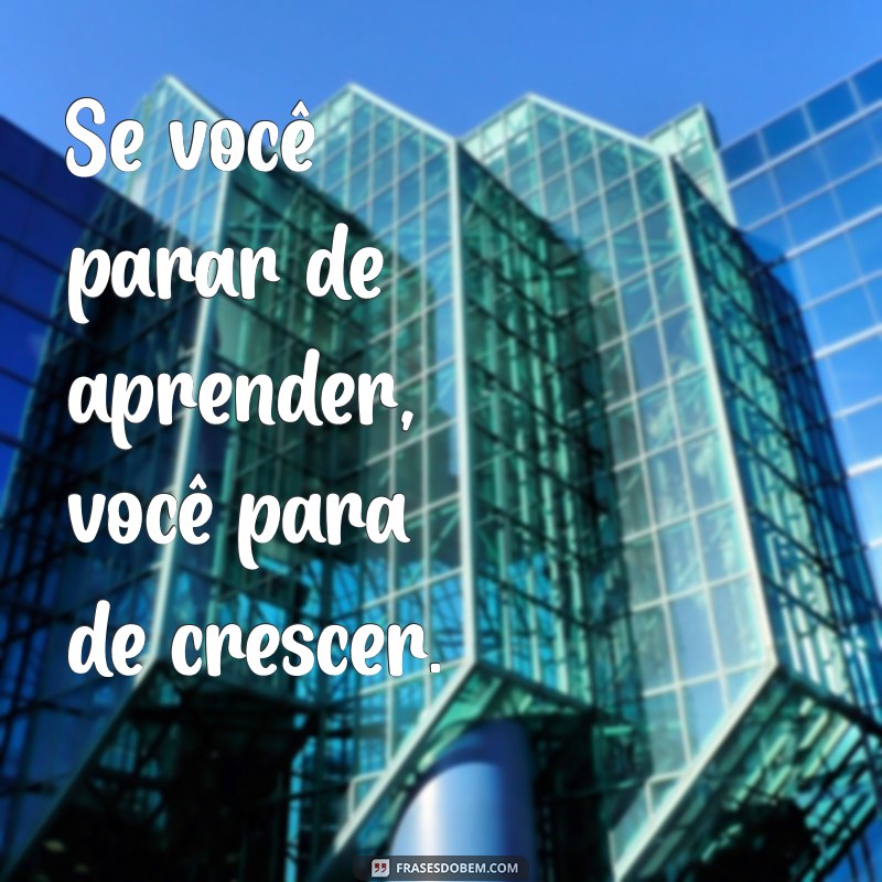 Frases Inspiradoras sobre Aprendizado para Status do WhatsApp 