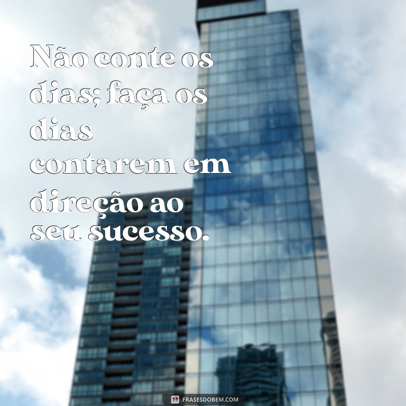 Frases Poderosas para Inspirar seu Caminho ao Sucesso 