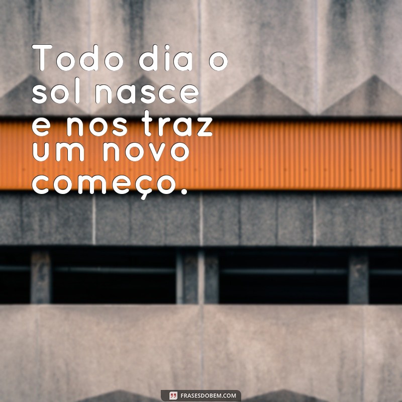 frases sol nasce Todo dia o sol nasce e nos traz um novo começo.