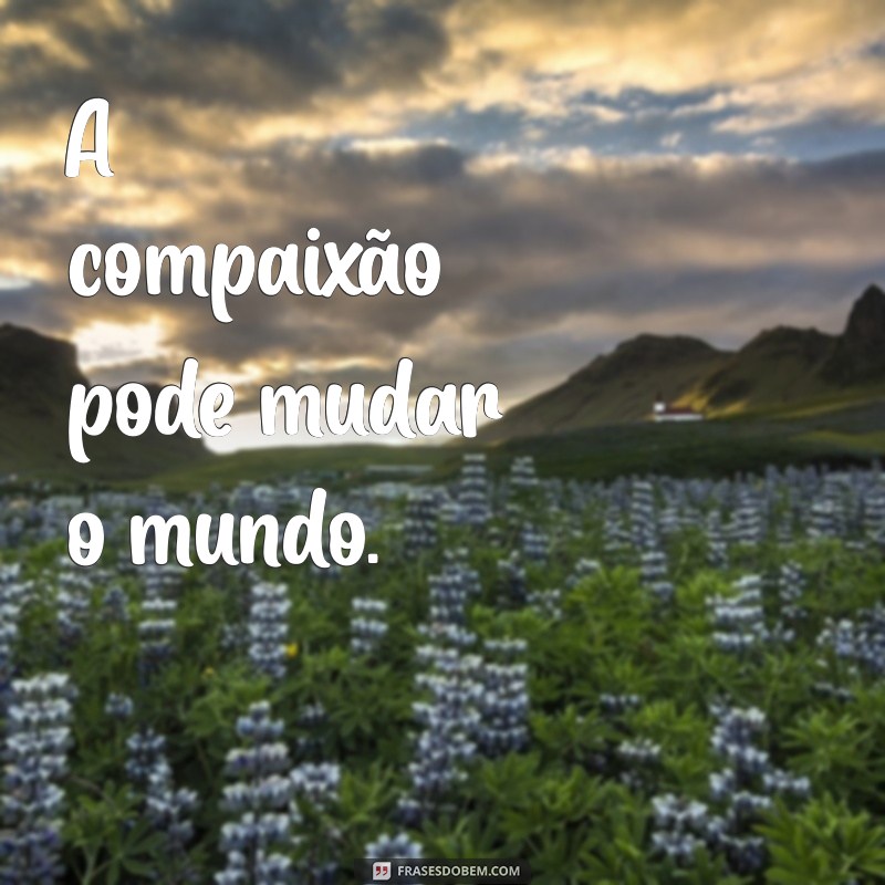 Frases Curtas de Reflexão: Inspirações para o Seu Dia a Dia 