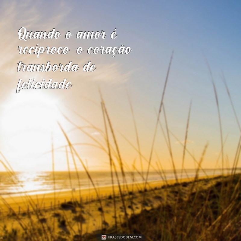 Descubra as melhores frases de amor para encantar o seu coração 