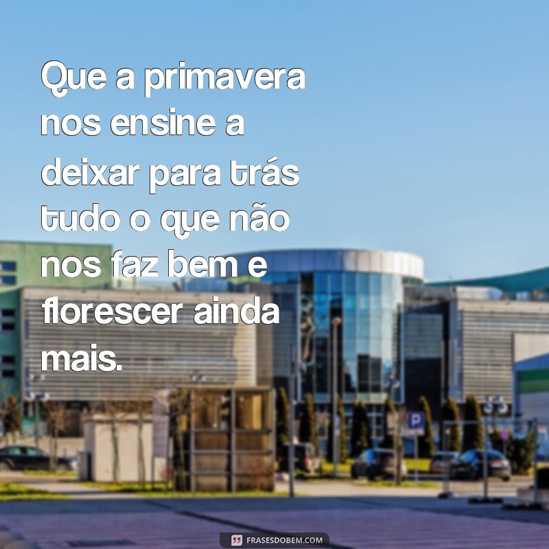 Descubra as melhores frases para celebrar a chegada da primavera e espalhar felicidade 