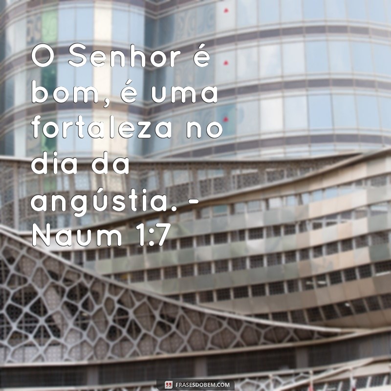 Frases Bíblicas de Conforto: Encontre Paz e Esperança nas Escrituras 