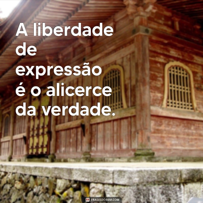 Descubra as Melhores Frases de Voltaire que Inspiram Reflexão e Sabedoria 