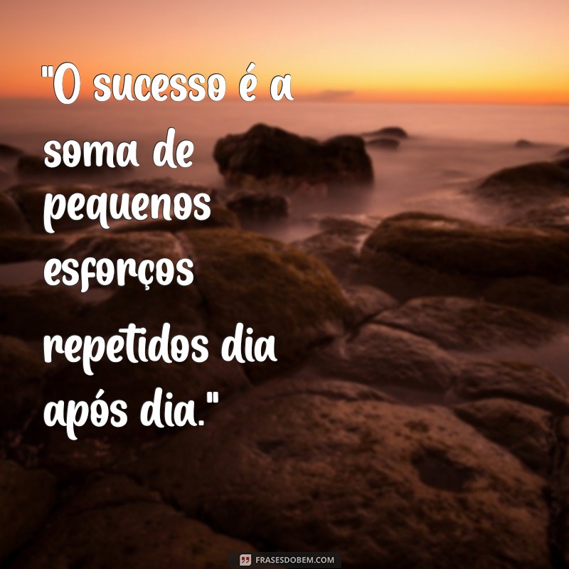 frases de desenvolvimento profissional 