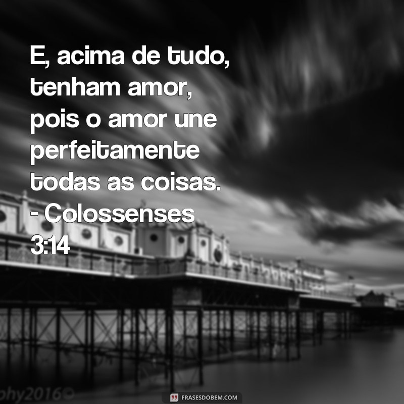 Descubra as mais belas frases e versículos de amor para expressar seus sentimentos 