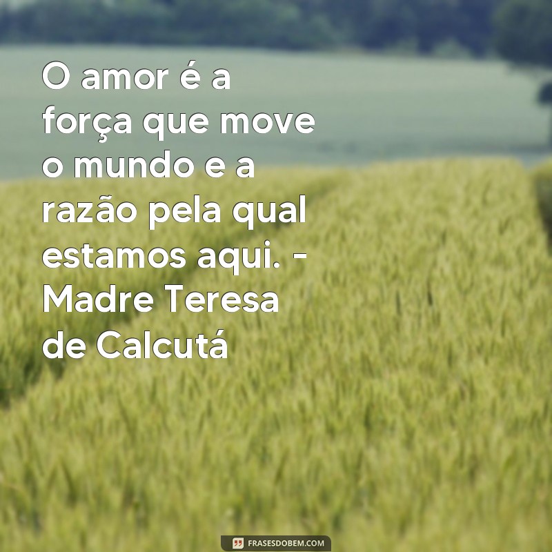 Descubra as mais belas frases e versículos de amor para expressar seus sentimentos 