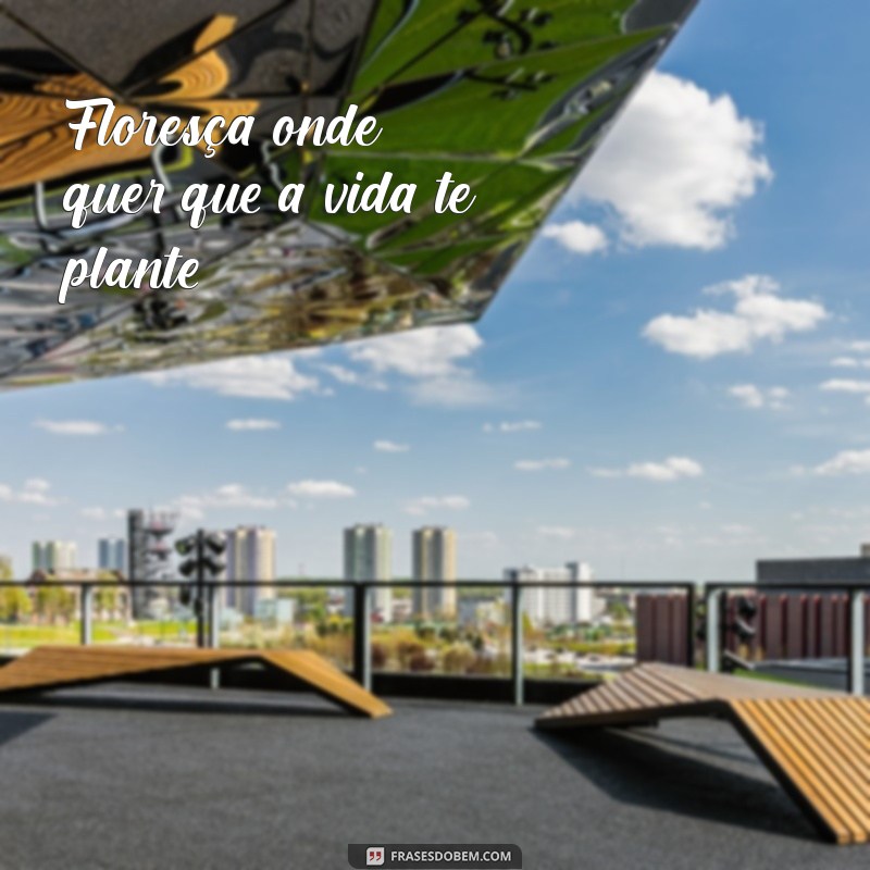 frases de florescer Floresça onde quer que a vida te plante.