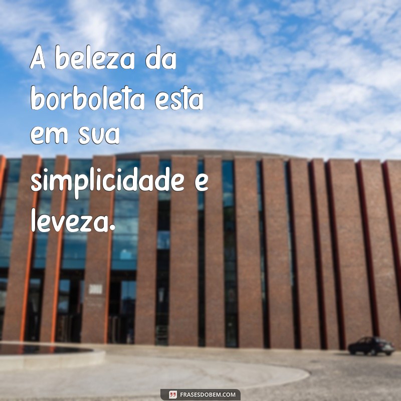 Encante suas fotos com essas lindas frases para borboletas 