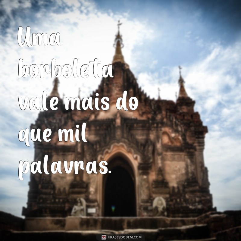 Encante suas fotos com essas lindas frases para borboletas 