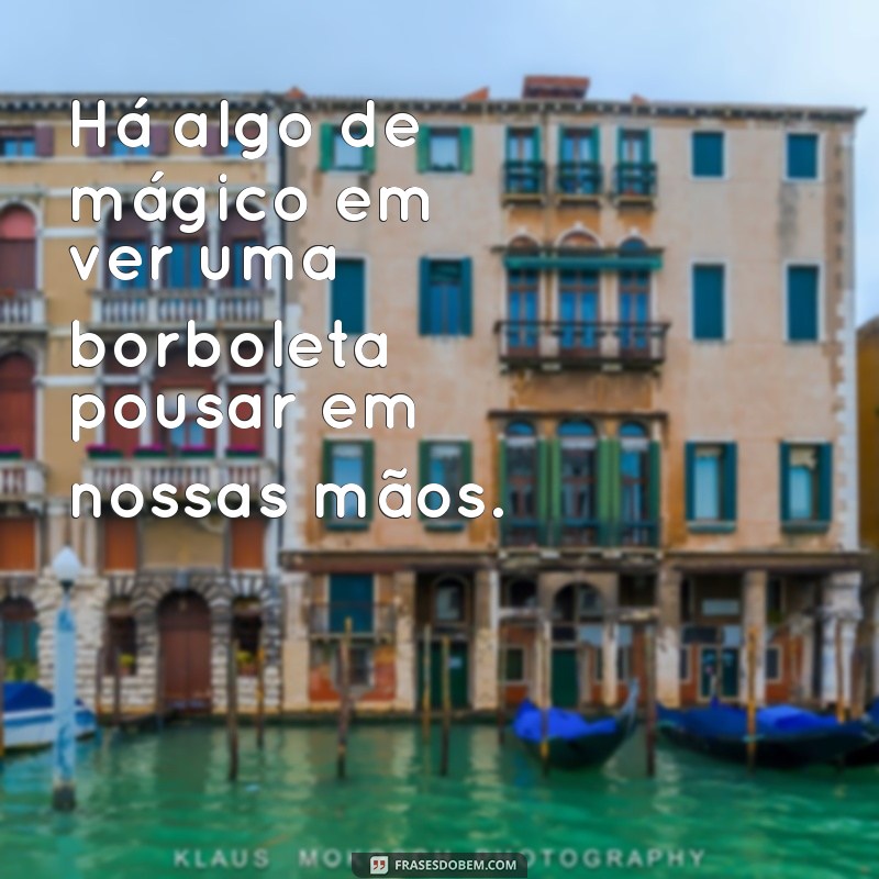 Encante-se com as mais belas imagens de borboletas acompanhadas de frases inspiradoras! 