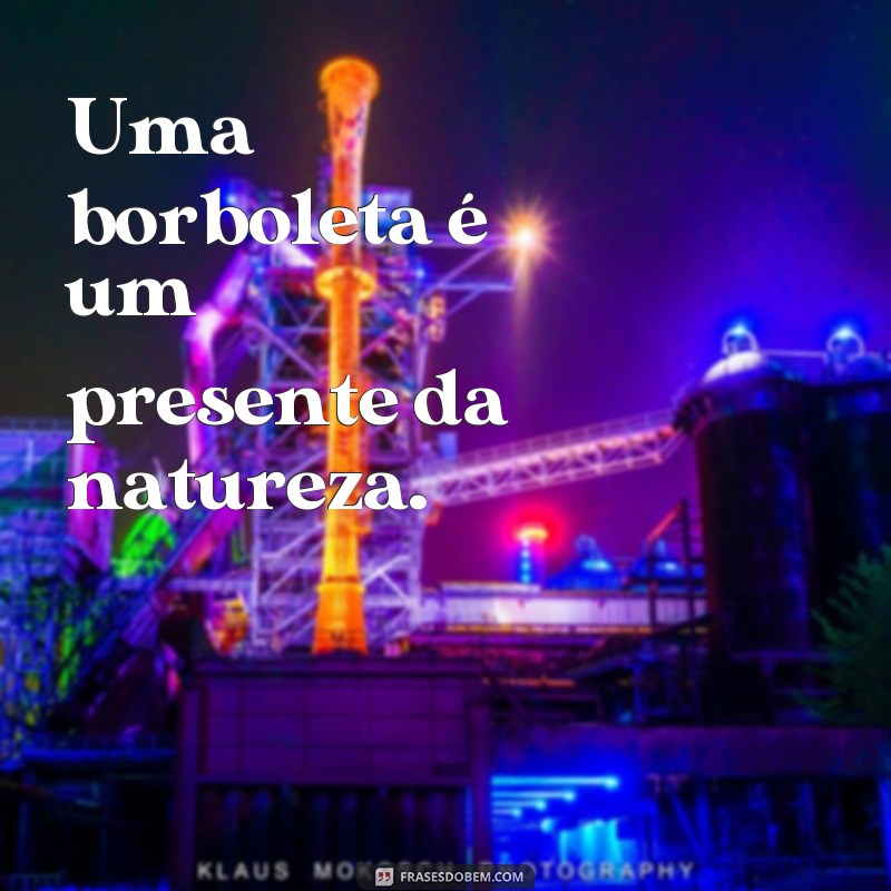 Encante-se com as mais belas imagens de borboletas acompanhadas de frases inspiradoras! 