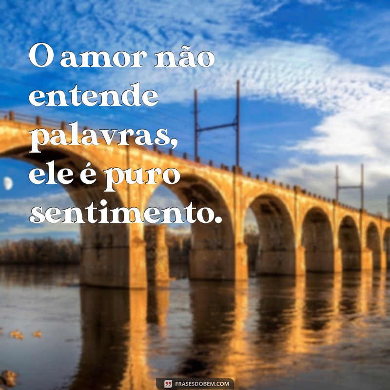 frases o amor não entende palavras O amor não entende palavras, ele é puro sentimento.