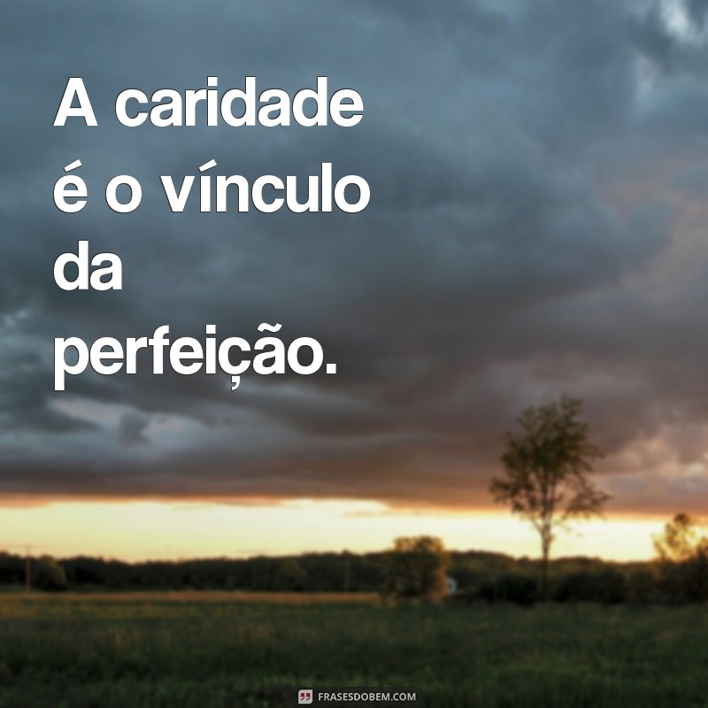 Conheça as melhores frases de Agostinho de Hipona: um legado inspirador 