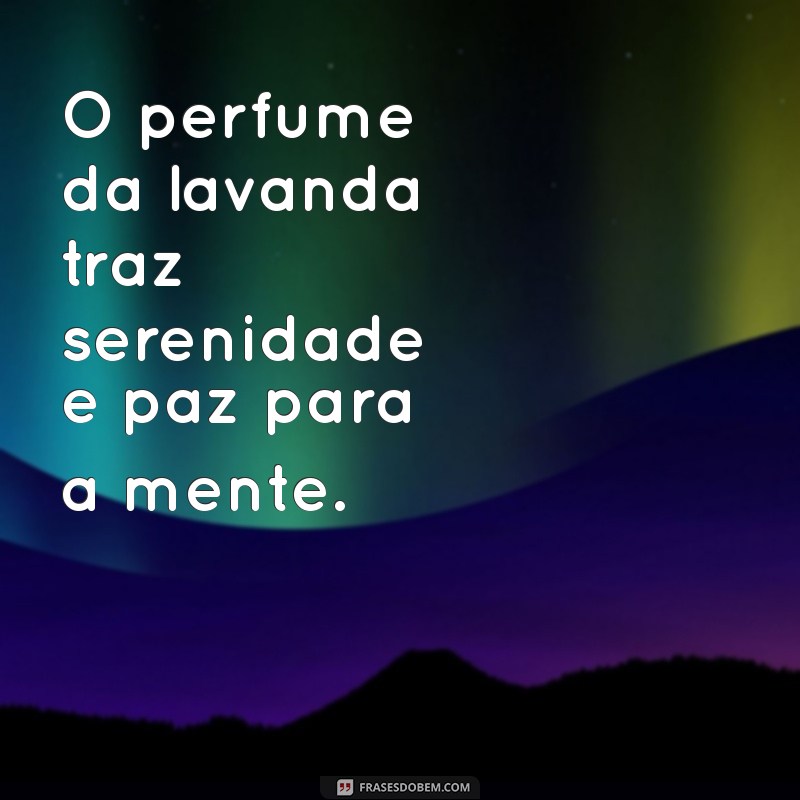 Descubra as Melhores Frases sobre Cheiro para Inspirar Seus Sentidos 