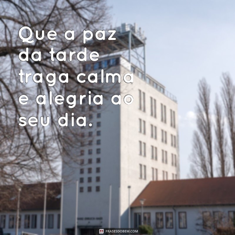 Frases Carinhosas de Boa Tarde para Iluminar Seu Dia 