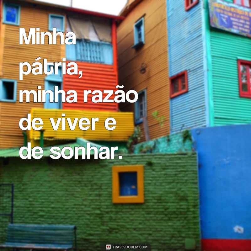 Descubra as mais belas frases de amor à pátria para se inspirar 