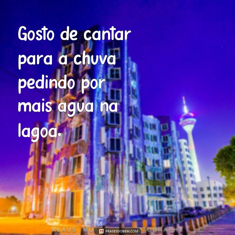 Descubra as melhores frases de sapo para inspirar sua jornada 