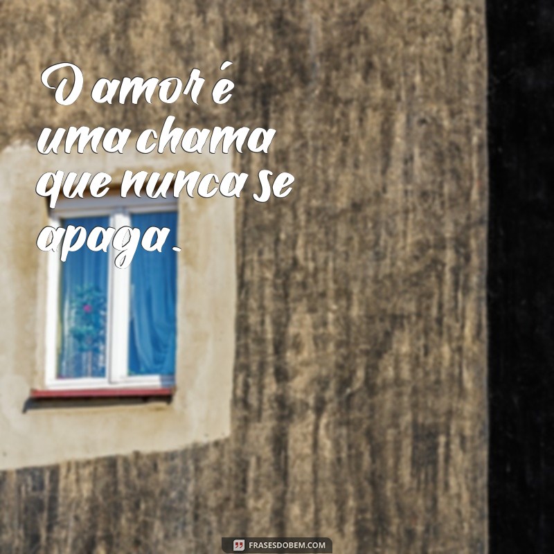 frases oq é amor O amor é uma chama que nunca se apaga.