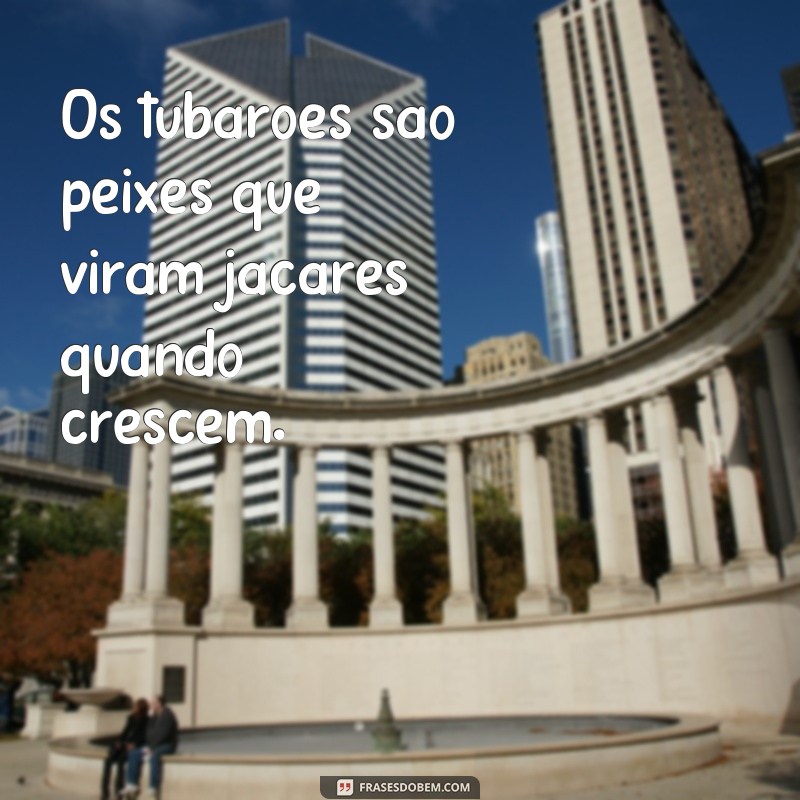 Descubra as melhores frases de inocência para se inspirar e encantar 