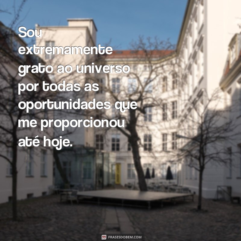 frases de gratidão ao universo Sou extremamente grato ao universo por todas as oportunidades que me proporcionou até hoje.