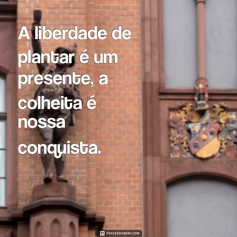 Descubra o poder das frases: O plantio é livre, mas a colheita é certa 