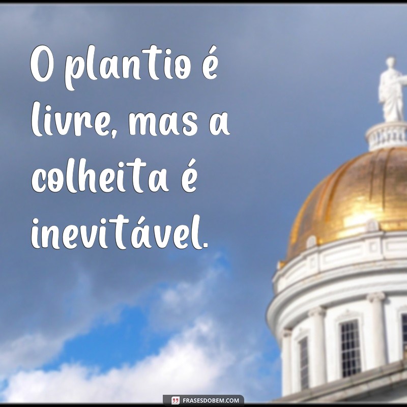 frases o plantio é livre mas a colheita O plantio é livre, mas a colheita é inevitável.