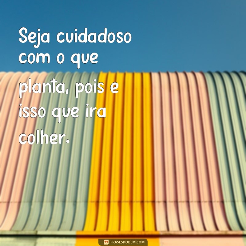 Descubra o poder das frases: O plantio é livre, mas a colheita é certa 