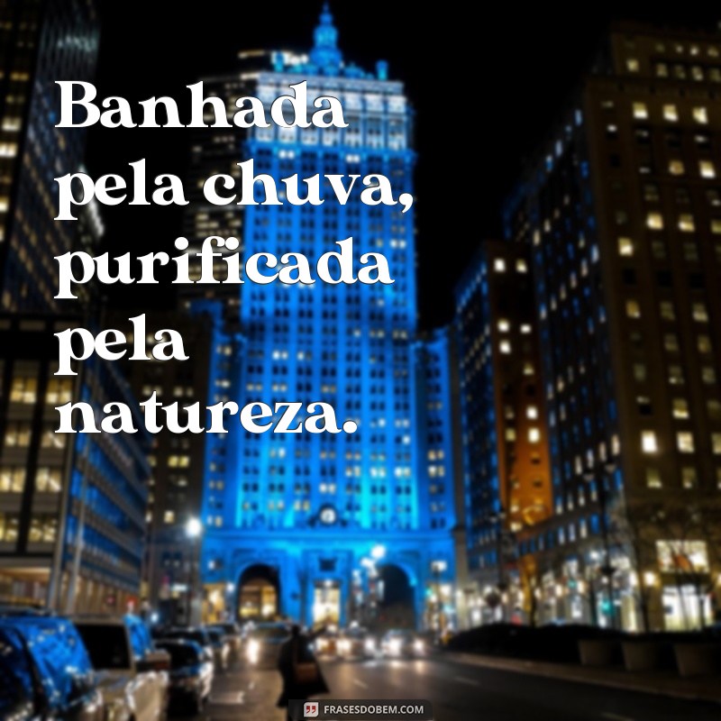 Descubra as melhores frases para curtir um banho de chuva revigorante 